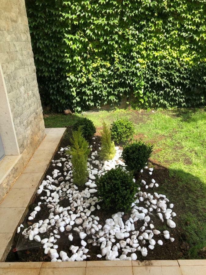 Acacia Hill A3 Apartment Ðenovići Exterior foto